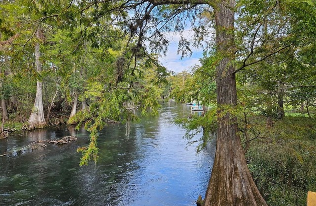 The Tipsy Turtle located on Ichetucknee River!