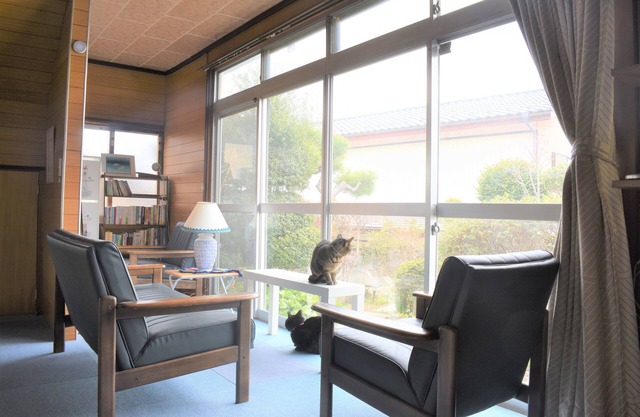 Das traditionelle japanische Haus mit Katzen. Katzenhaus