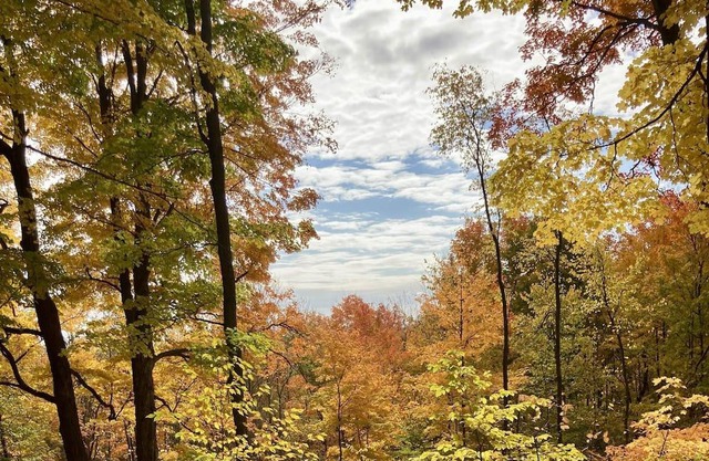 The Trails Retreat (Private Cabin)