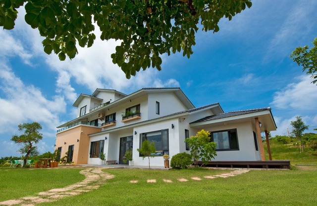 The Tree Bed and Breakfast