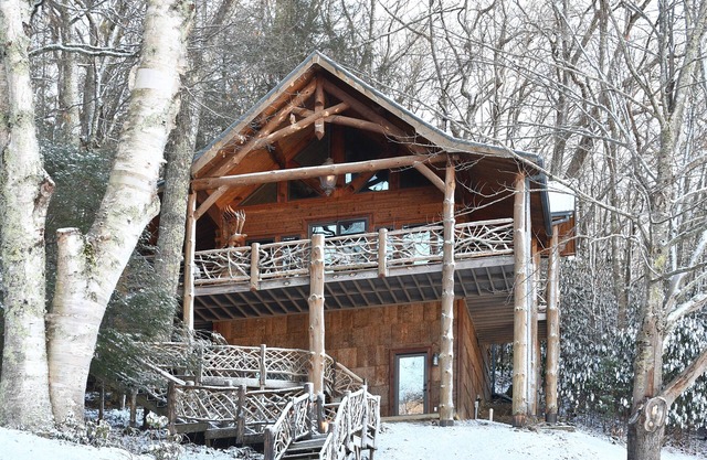 The Treehouse Banner Elk--minutes from Beech & Sugar skiing!