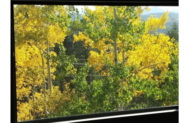 The Treetop Lodge at Black Hawk - MOUNTAINS! Everywhere You Look!
