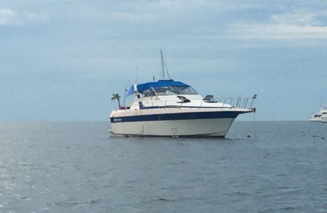 “ The Ultimate redneck” boat experience