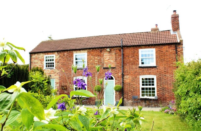 The Vine B & B