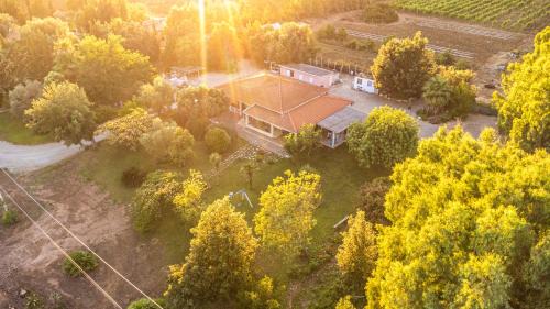 THE VINEYARDS