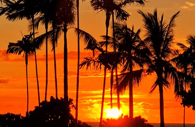 The Westword- oahu—pure beauty Natural place