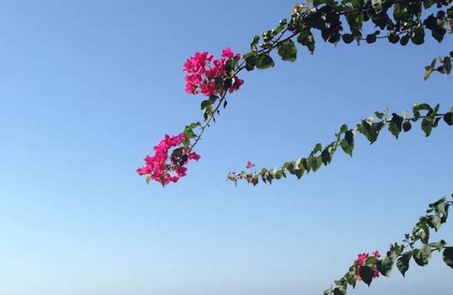 Das Fenster zum Meer!Villa am Meer der naturalistischen Oase von Plemmirio