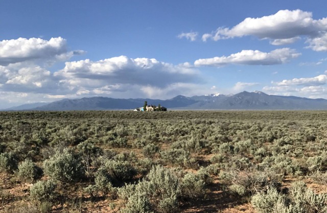 Die Frau, das Kaninchen und die Mond-Ranch