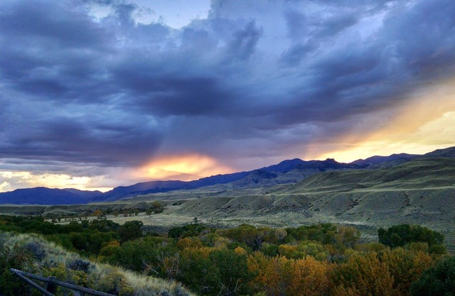 Das Wyoming Paintbrush Studio - Zimmer mit Aussicht!