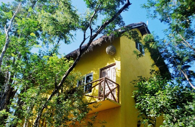 The Yellow House