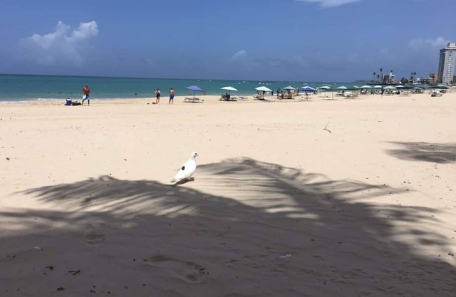 This apartment is a 2 bedroom(s), 1 bathrooms, located in San Juan, PR.