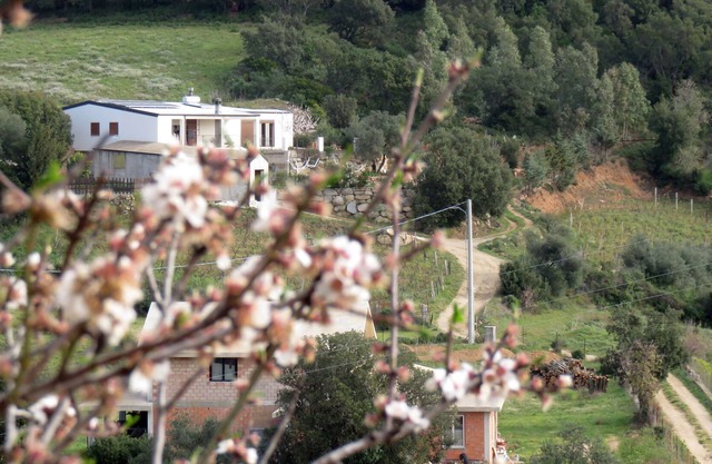 Dieses gemütliche Haus ist von Naturschönheiten umgeben. WiFi und ADSL.