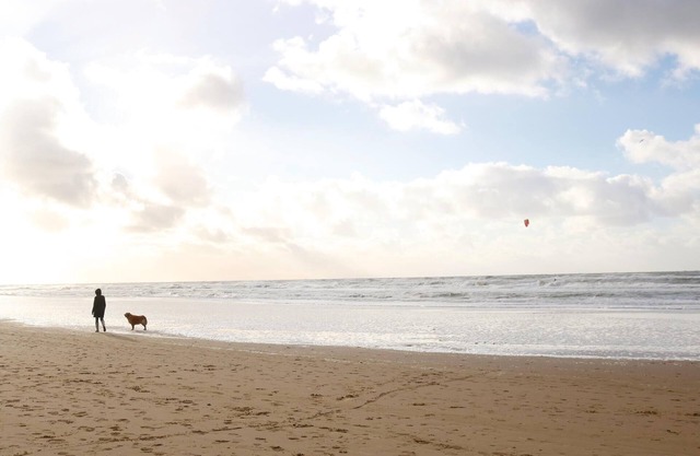 3 Zimmer Unterkunft in Westerland