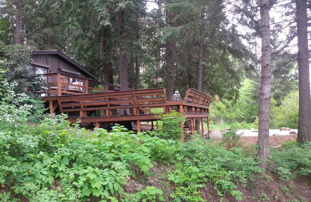 Diese Tier- Friendly, Cedar Forest Retreat Blick Murphy Bay
