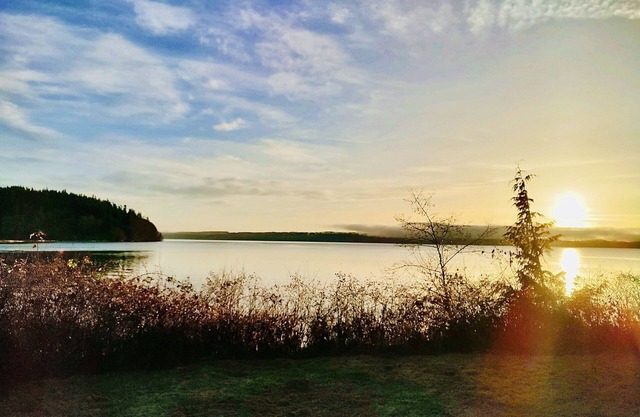 Thorndyke Lodge Beachfront Escape w/ BBQ and firepit
