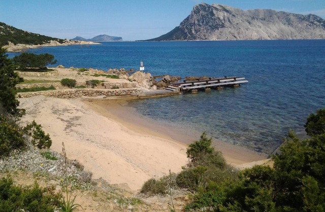 Dreizimmerwohnung mit Meerblick in Cala Ginepro