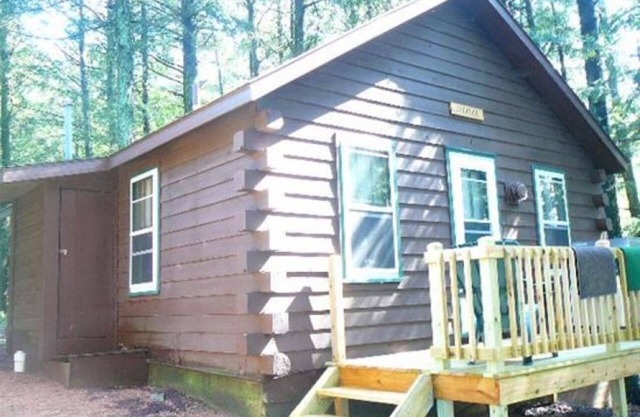 Thunderhead Lodge ~ Cabin 1 | 2 Bed, 1 Bath