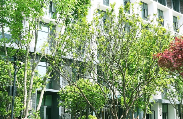 Tianfu Itnl Hotel Complex Rongqing Ctyd