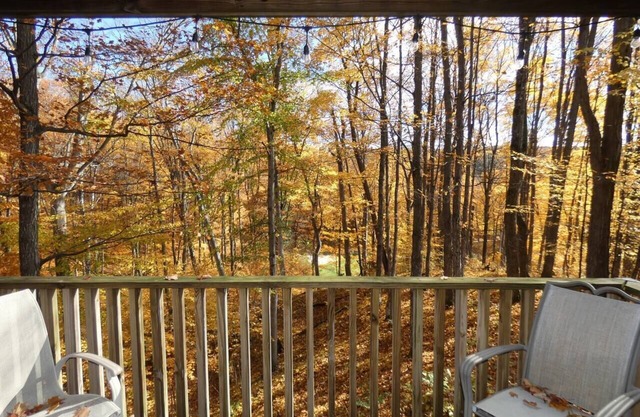 Timber Ridge Retreat