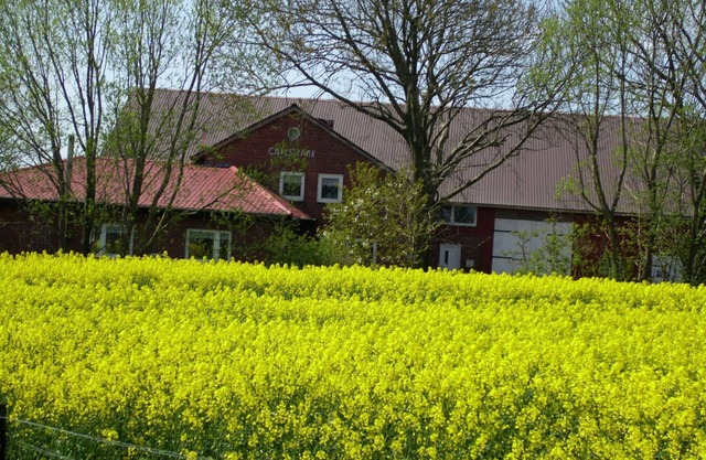 Auszeit in Nordfriesland, ankommen und wohlfühlen