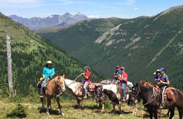 Nagelneue kleine Kabine. Eingebettet zwischen GlacierPark & Wilderness Area
