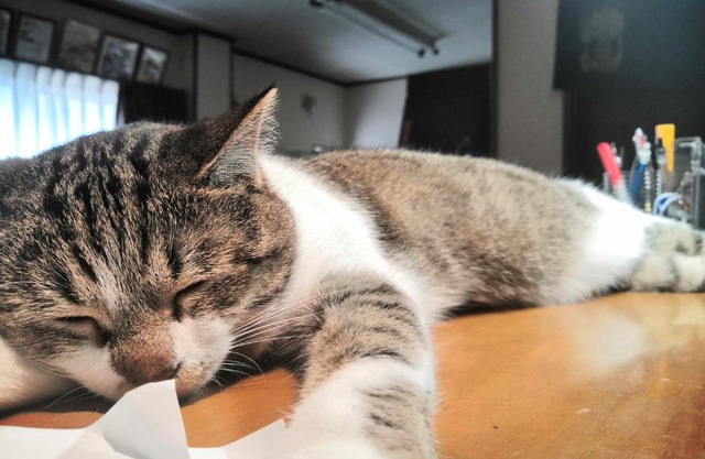 Tiny GuestHouse Umekoji 梅小路