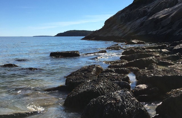 Tiny Home Cabin in the heart of Acadia, 5 minute walk into the heart of town
