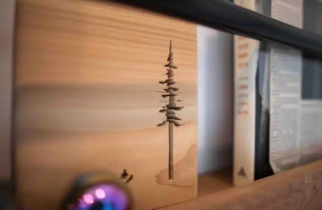 Tiny House Big View