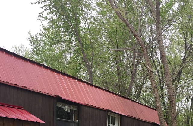 Tiny House - Cottage