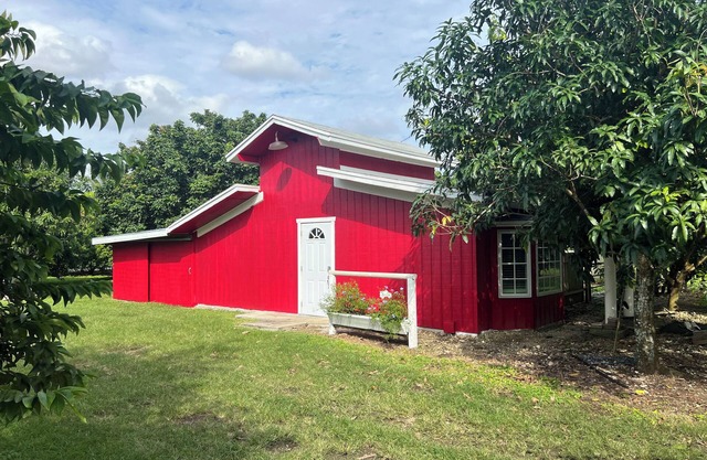 Tiny House Located in the Middle of a Tropical Fruit Farm