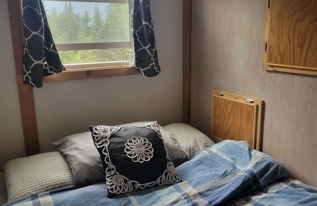 Tiny House with stunning mountain views, steps from Arrow lake. Pet- friendly!