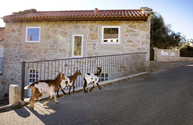 Casa Tio Zé (T2) - Casas de Selim