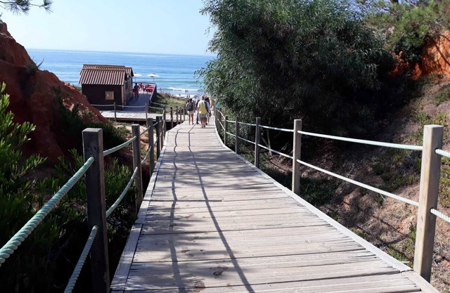 Top Alfamar