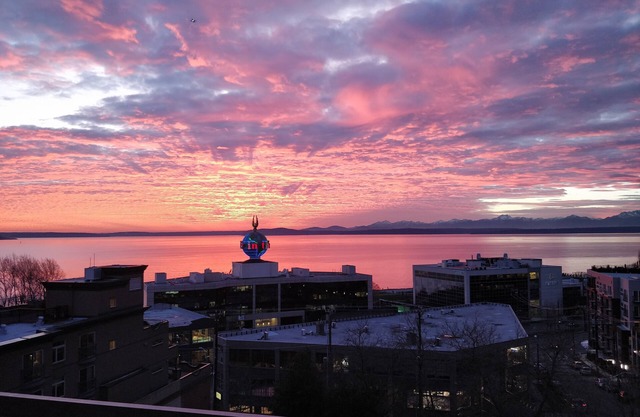 Top Floor Water View Oasis near Space Needle & Cruise