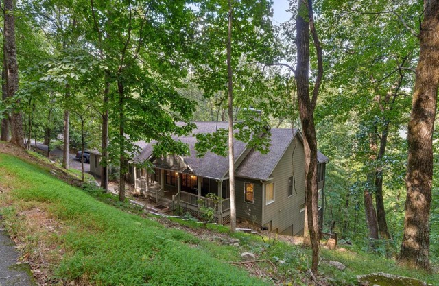 Top of the Trees Oasis