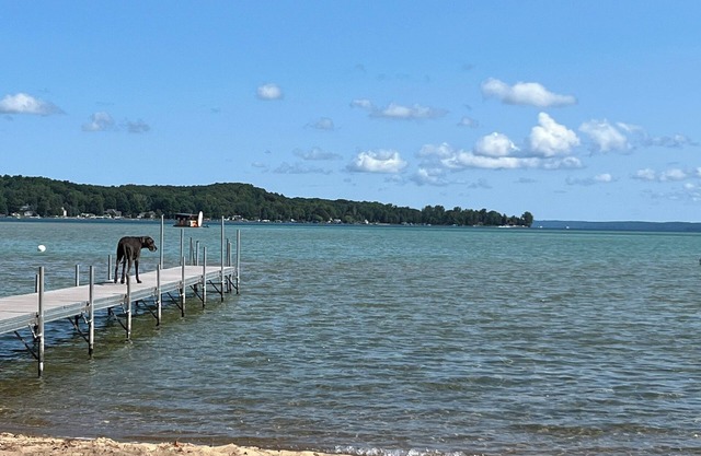 Torch lake house