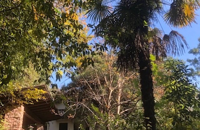 Torre Home - Einzelhaus mit Garten in der Stadt Bozen ganz für sich!