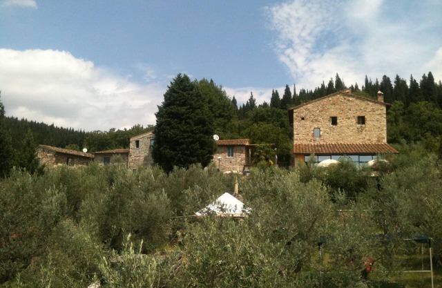 Totale Entspannung mitten in den malerischen Olivenbäume in der Nähe von Florenz