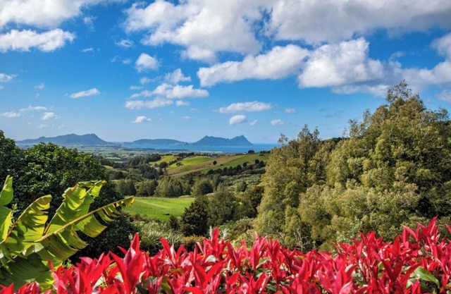 TOTARA RIDGE - A Private Escape with Ocean views Winter Weekly Specials
