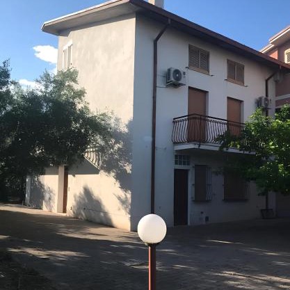 Tra gli ulivi