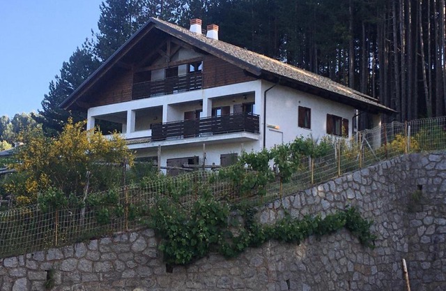 Tra il bosco e il lago