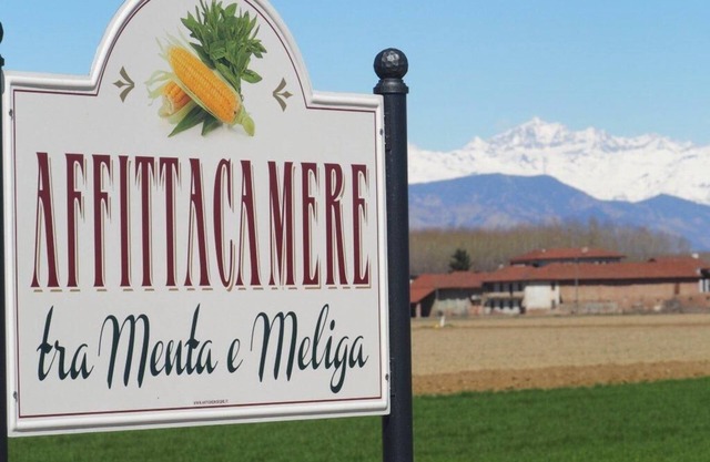 Tra Menta e Meliga