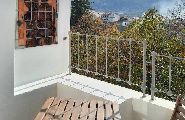 Traditional 1st floor townhouse apartment with sunny South facing terrace