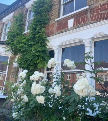 Traditional English 4 bedroom home in Greenwich