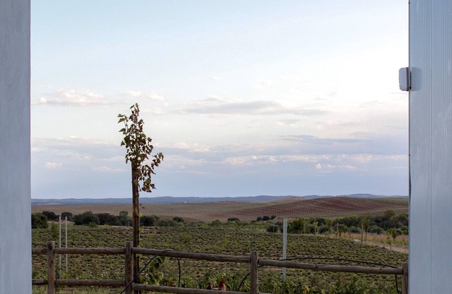 Traditional house located inside an biodynamic tea farm, 20km from Évora.