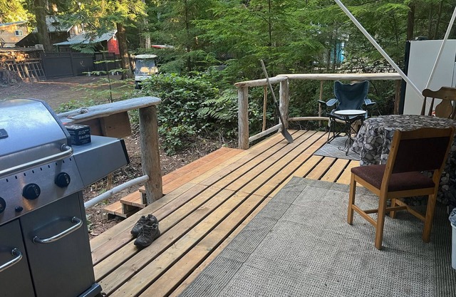Trailer in back yard