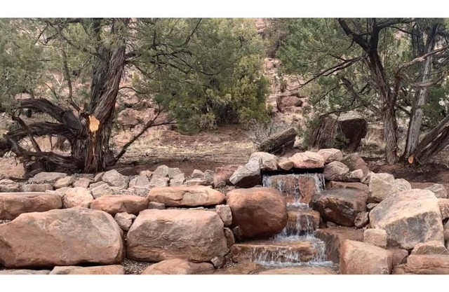 Tranquil 3-bedroom retreat, tucked in Cerrillos.