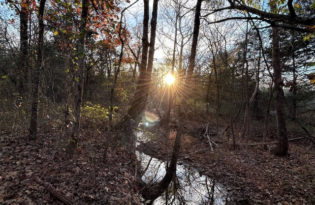 Tranquil cabin with AC and 2 creeks on secluded 5 acres with WiFi