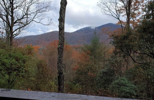 Tranquil cabin with AC in charming Blue Ridge