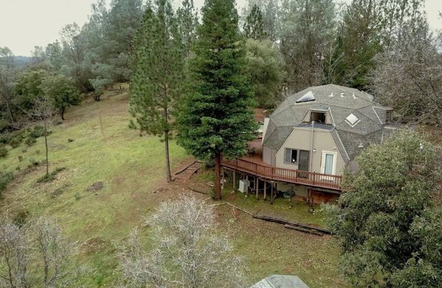Tranquil dome in Gold country forest